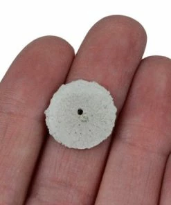 Rubber Pumice Abrasive Wheels White Style 999 Pack Of 100 -Cheap Watch Bands Store 11.463.10photo3 18904.1658871926