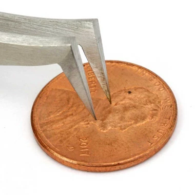 Dumont #6 Tweezers EQ Stainless Antimagnetic 4 Dumont #6 Tweezers EQ Stainless Antimagnetic - Image 4