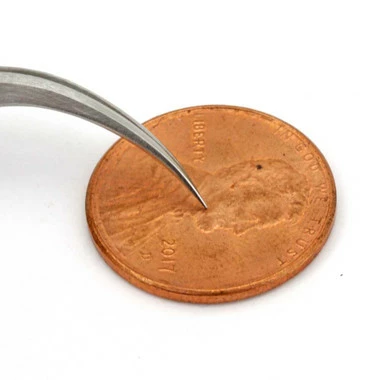 Dumont #7B Tweezer Stainless Serrated Tips 5 Dumont #7B Tweezer Stainless Serrated Tips - Image 5