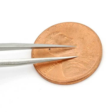 Dumont # 5 Tweezer EQ Stainless Antimagnetic 3 Dumont # 5 Tweezer EQ Stainless Antimagnetic - Image 3