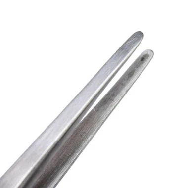 Dumont #2A Tweezer EQ Stainless Antimagnetic 2 Dumont #2A Tweezer EQ Stainless Antimagnetic - Image 2